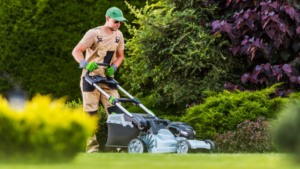 Image for Home Maintenance Tips for Summer